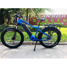 Bicicleta eléctrica Bafang MID-Motor 48V 1000W Fat